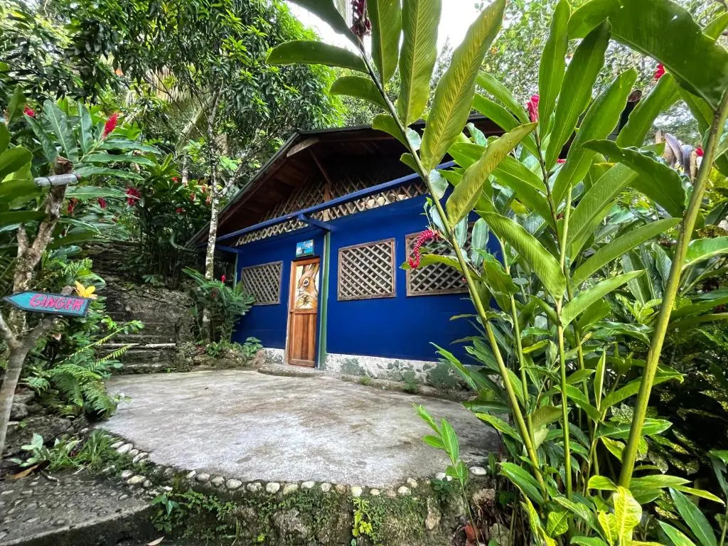 Palmeras del Río Hotel - Chambres