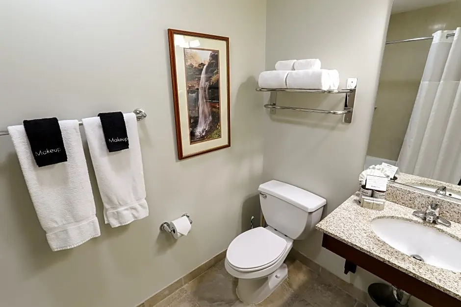 1 Bedroom Standard room