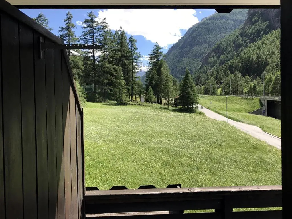 Standard Double room with mountain view (full double bed)