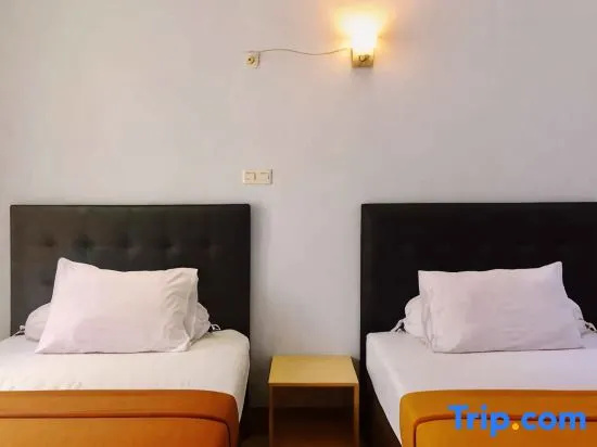 Superior Double room (twin beds)