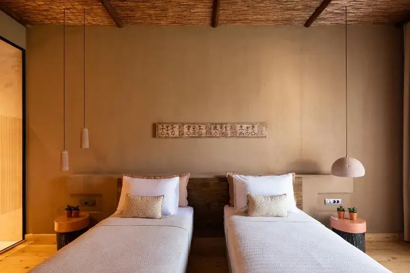 Standard Double room (twin beds)