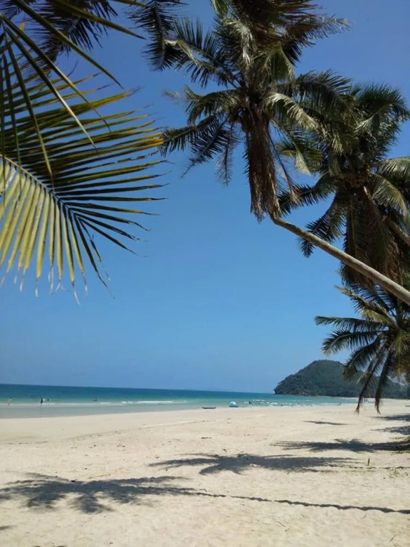 Beach & Waterfront