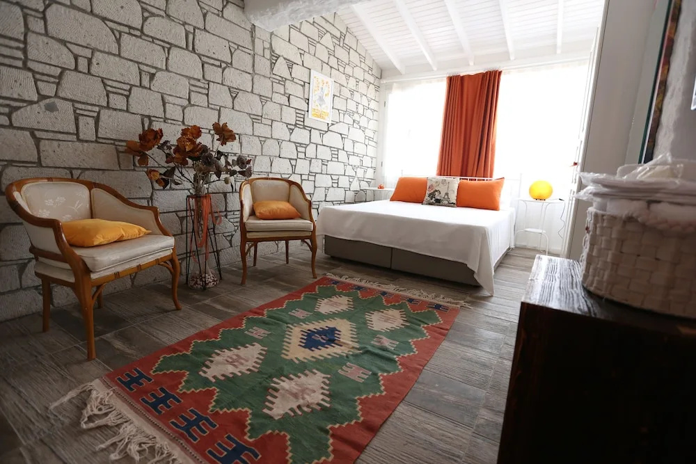 Deluxe Double room (full double bed)