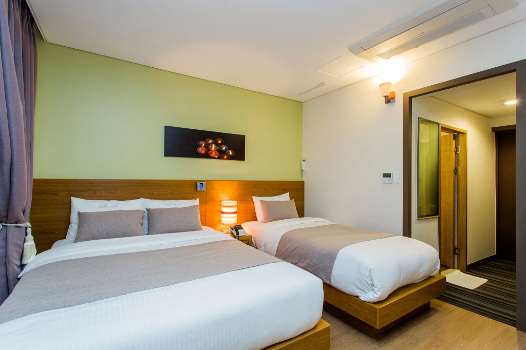 Deluxe Double room (twin beds)
