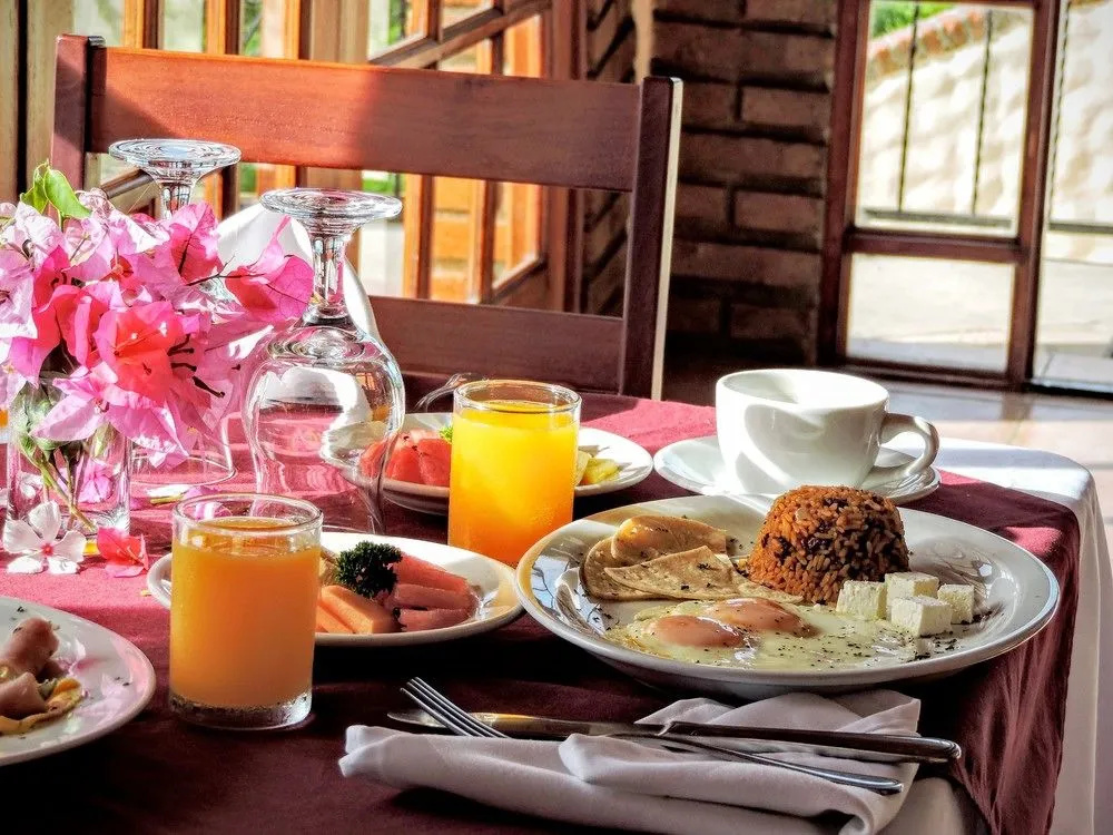 Casa Bahia Hotel - Général