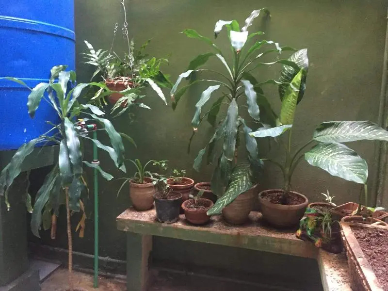 Hostal Casa Ana