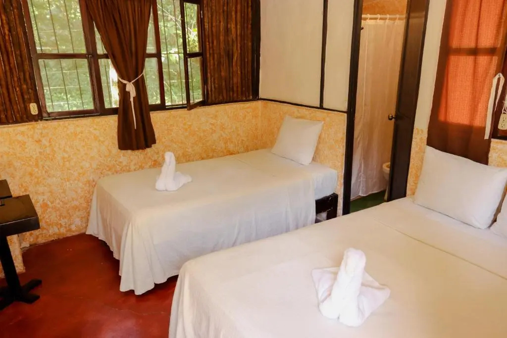 Economy Single room (single bed)