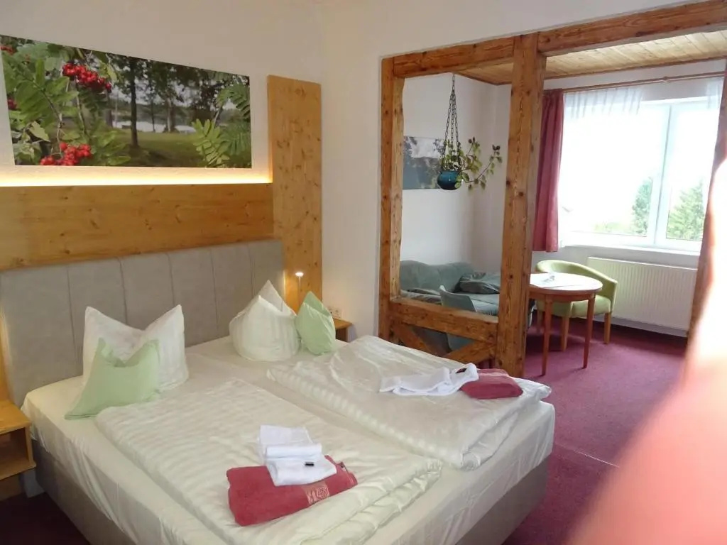 Standard Double room (full double bed)