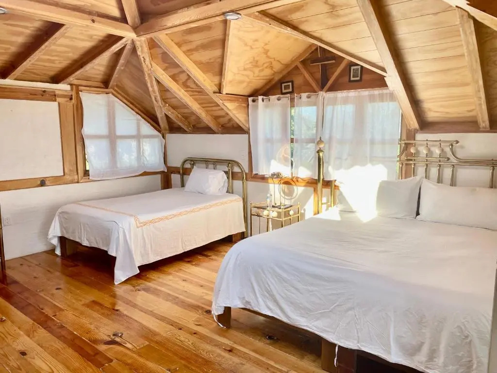 Standard Quadruple room with garden view