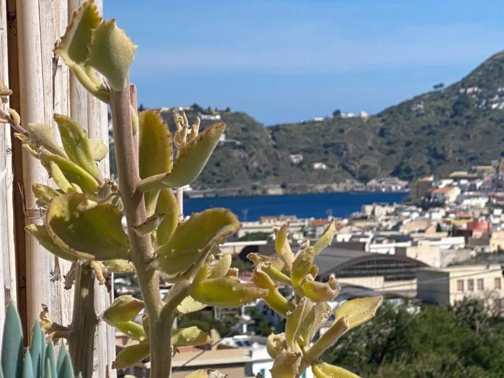 Deluxe Double room with balcony and with sea view (full double bed)
