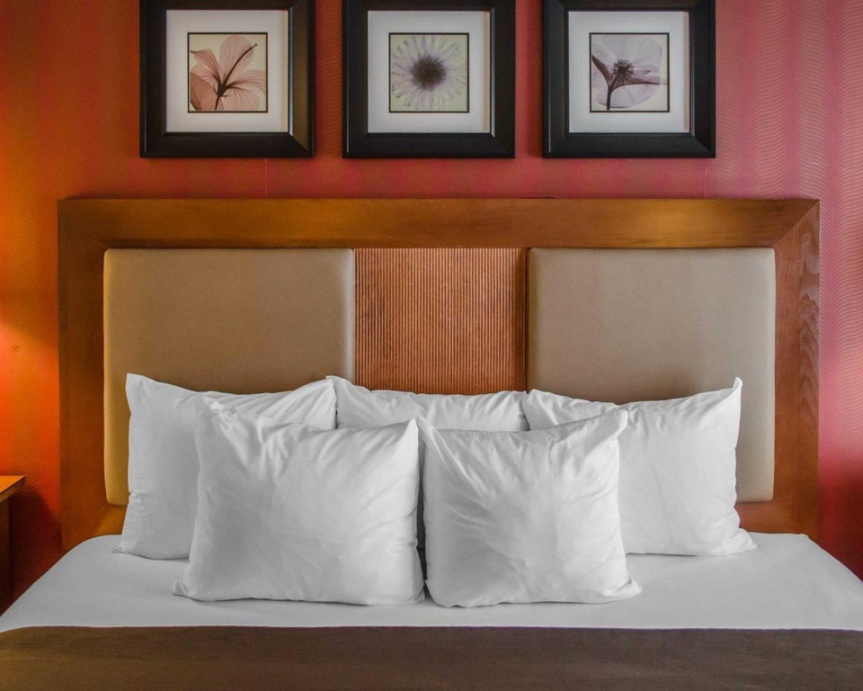 Hotel Hanna Room Type - Standard Double room (full double bed) Hotel Hanna Room Type - Standard Double room (full double bed)