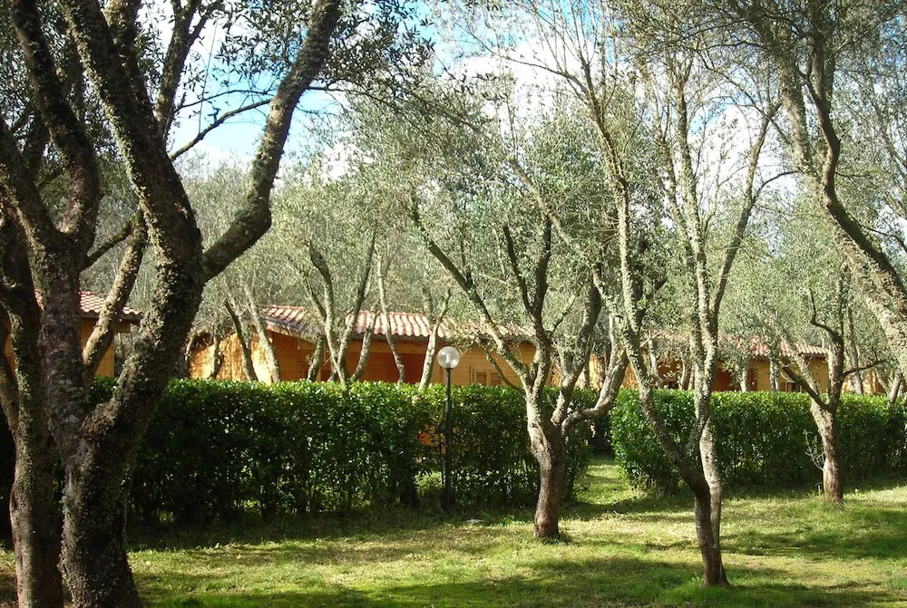 2 Bedrooms Bungalow