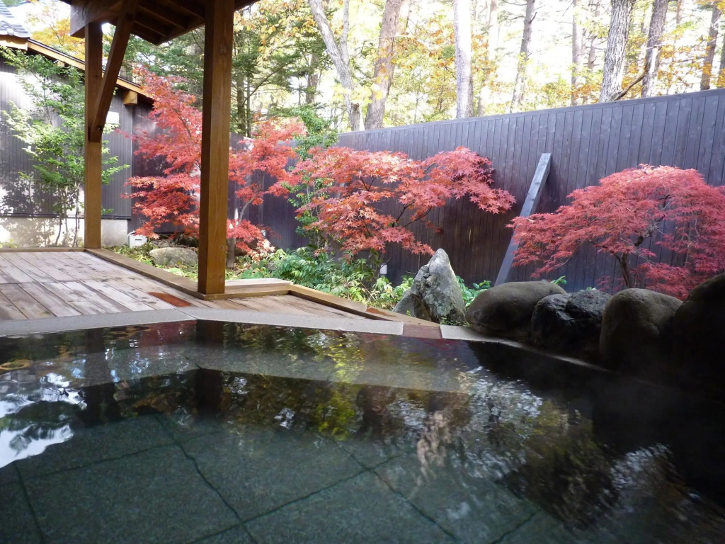 Kusatsu Skyland Hotel 사진 31