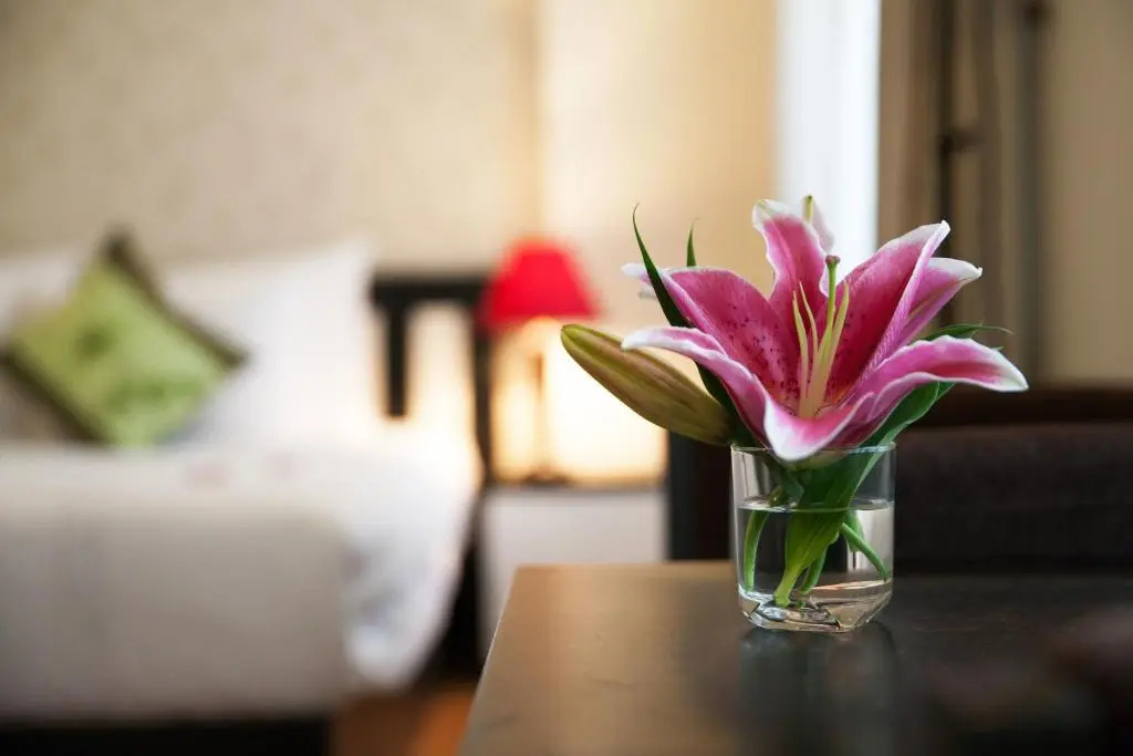 Serenity Villa Hotel Hanoi - Chambres