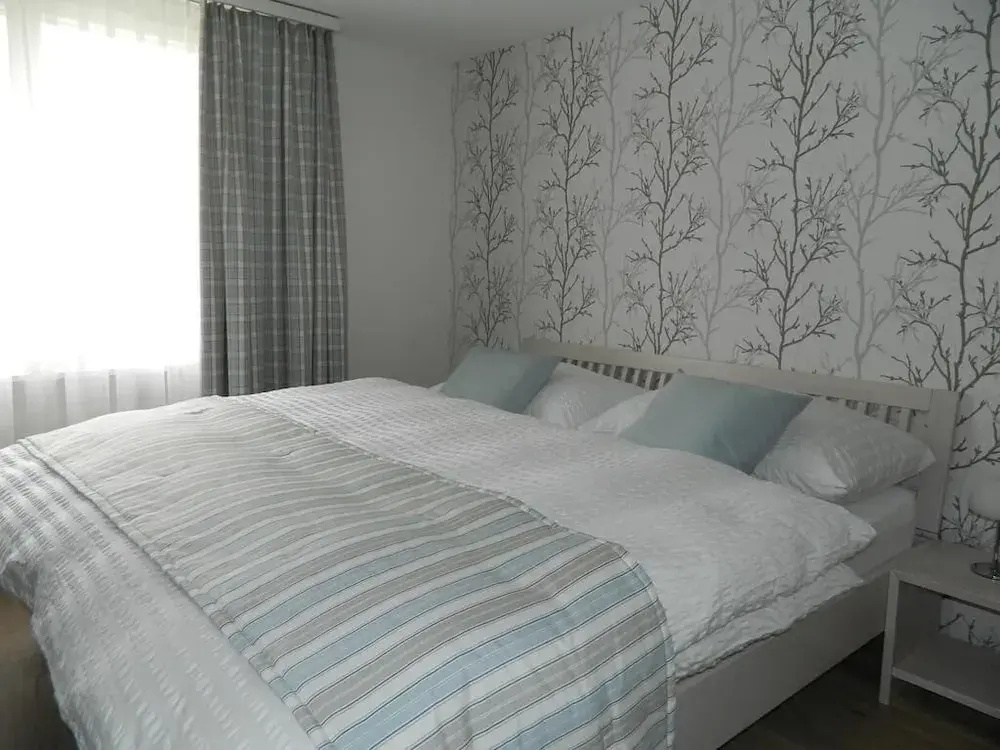 Standard Double room with mountain view (full double bed)