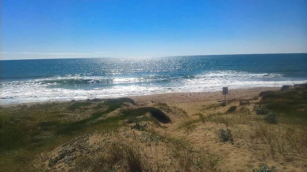 Beach & Waterfront