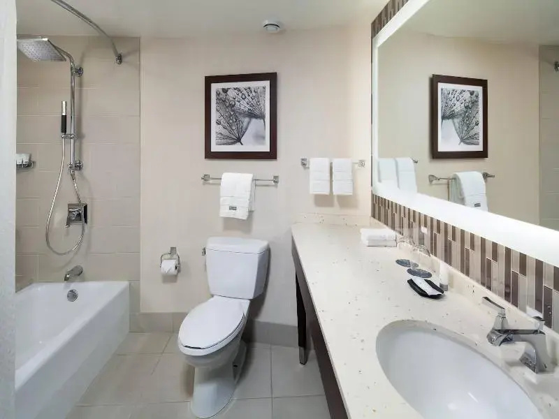 Luxury Suite