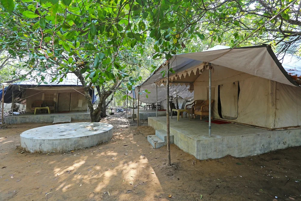 OYO 10981 Hotel Jungle Camp