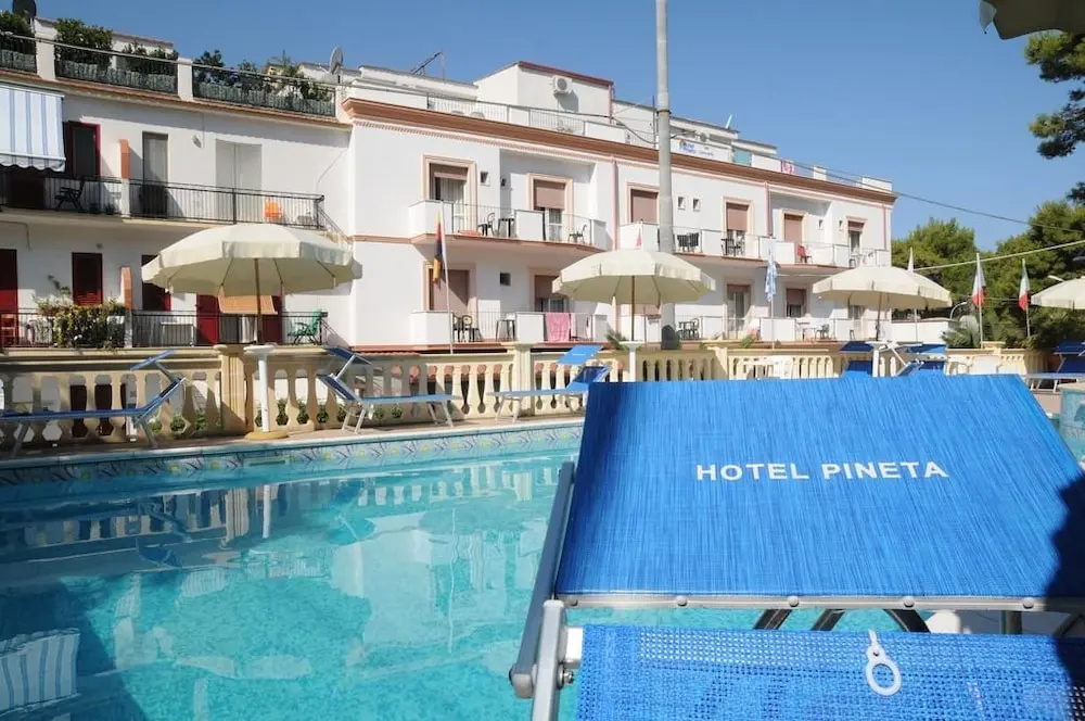 Hotel Pineta - Général