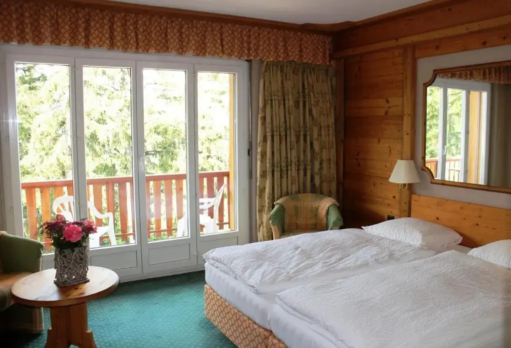 Hôtel le Mont Paisible - Général