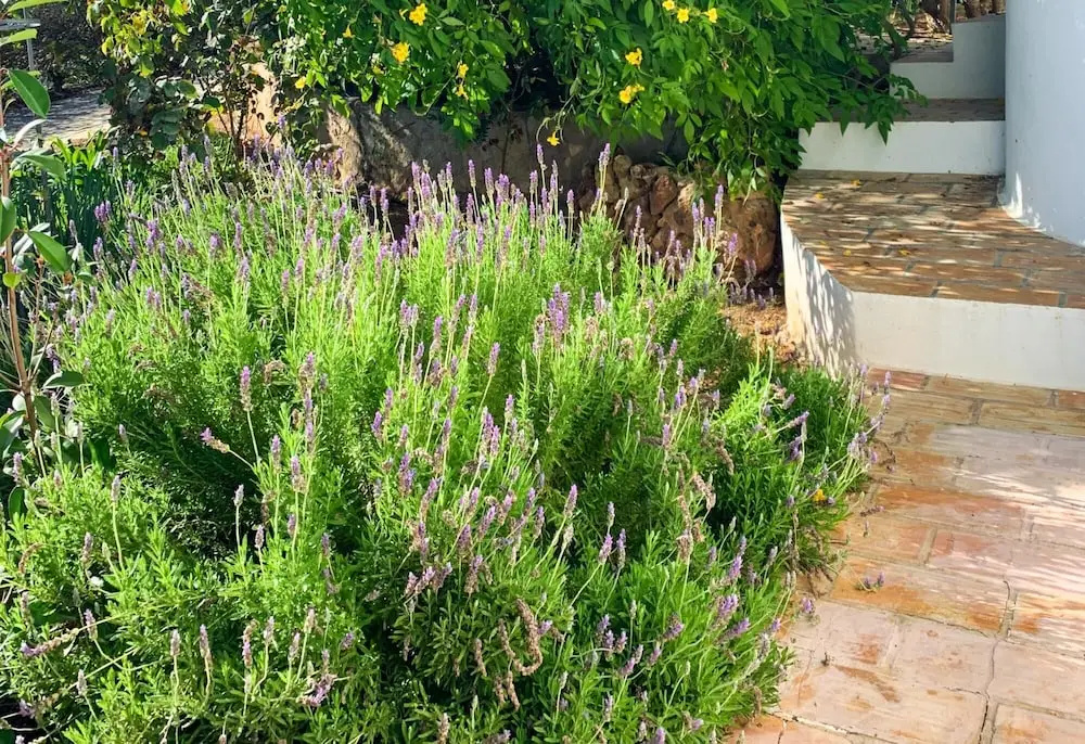 Casa Josephine by Portucasa
