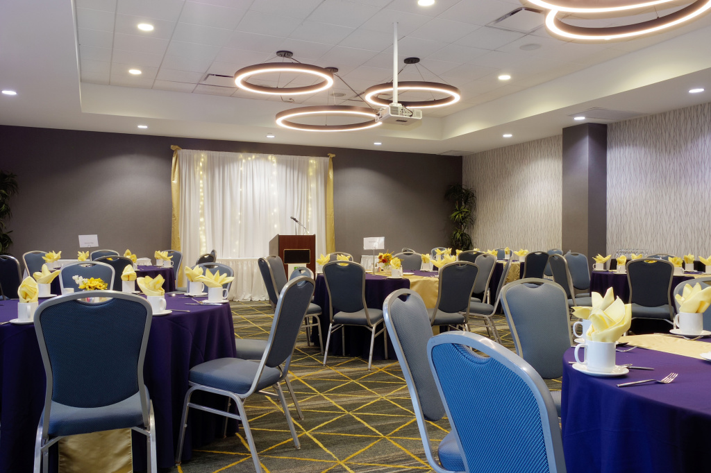 Holiday Inn Hotel & Suites PHOENIX AIRPORT by IHG - Général