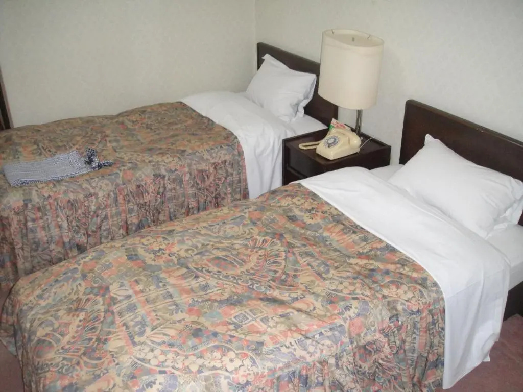 Standard Double room (twin beds)
