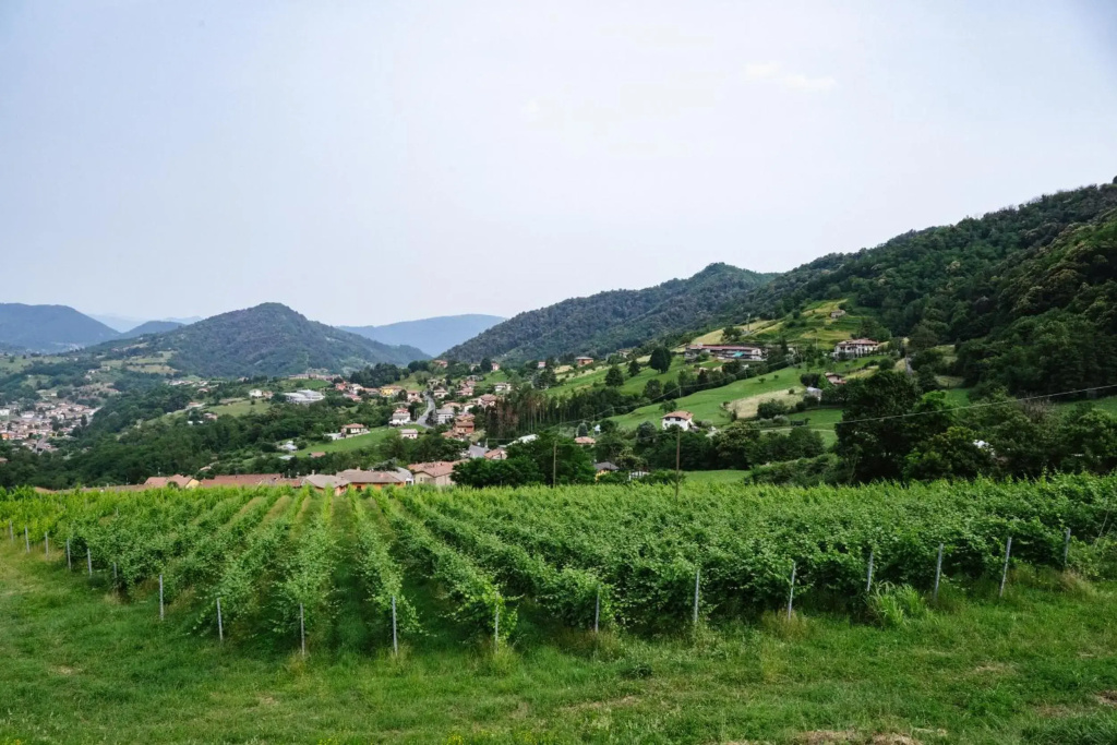 Agriturismo Podere Cavaga Lago d'Iseo Agribio Winery