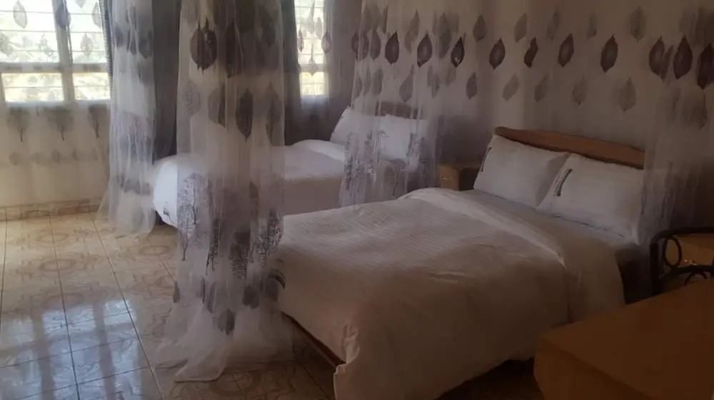 Standard Double room (twin beds)
