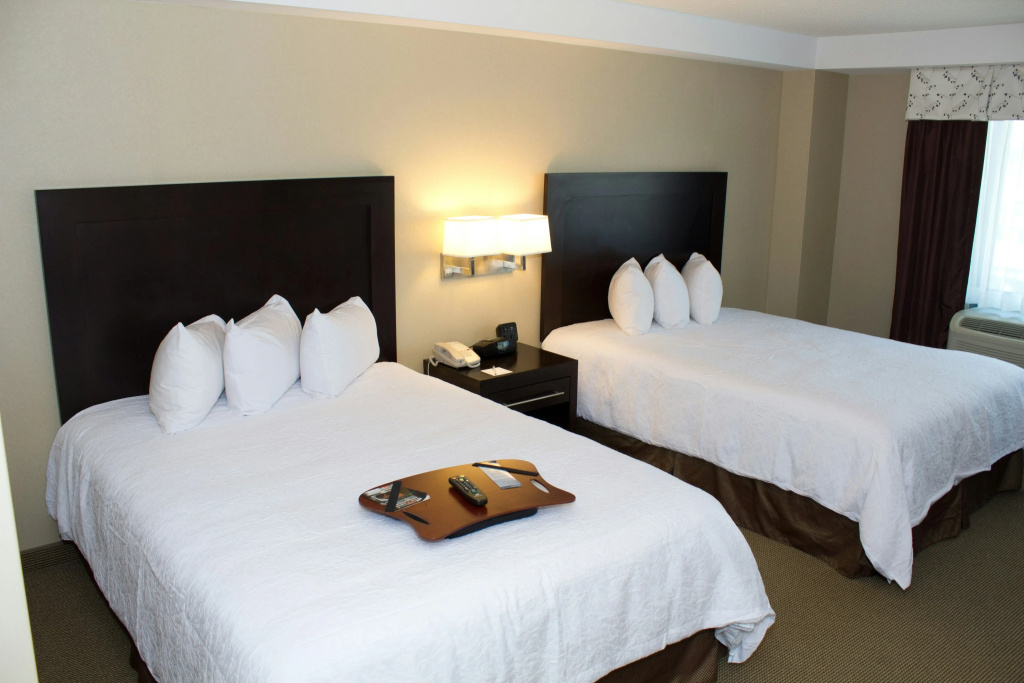 Hampton Inn & Suites Boston Crosstown Center - Général