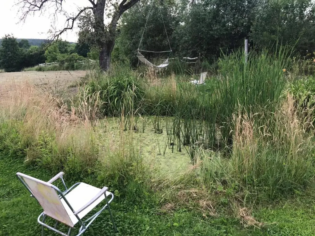 100 Baranyos - фото 6