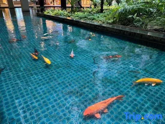 Regalia Near Subway KLCC 8PAX 2Room 2Bath