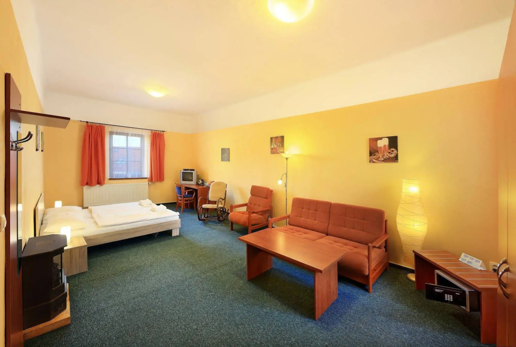 Hotel Záviš z Falkenštejna - Général