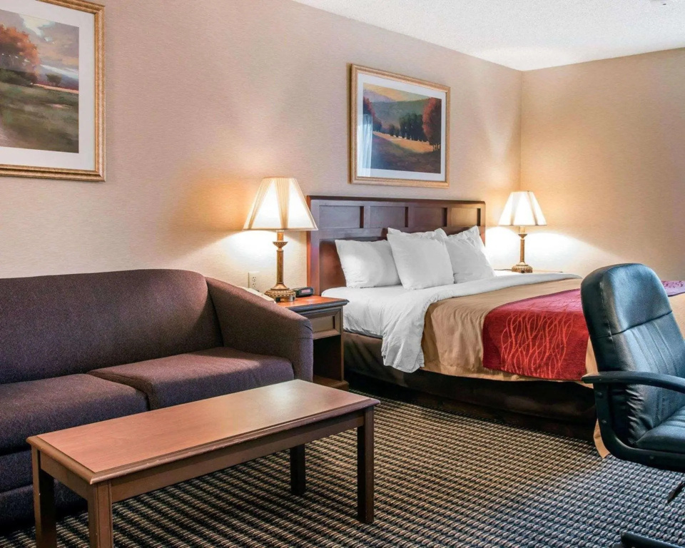 Wingate by Wyndham Livonia - Chambres