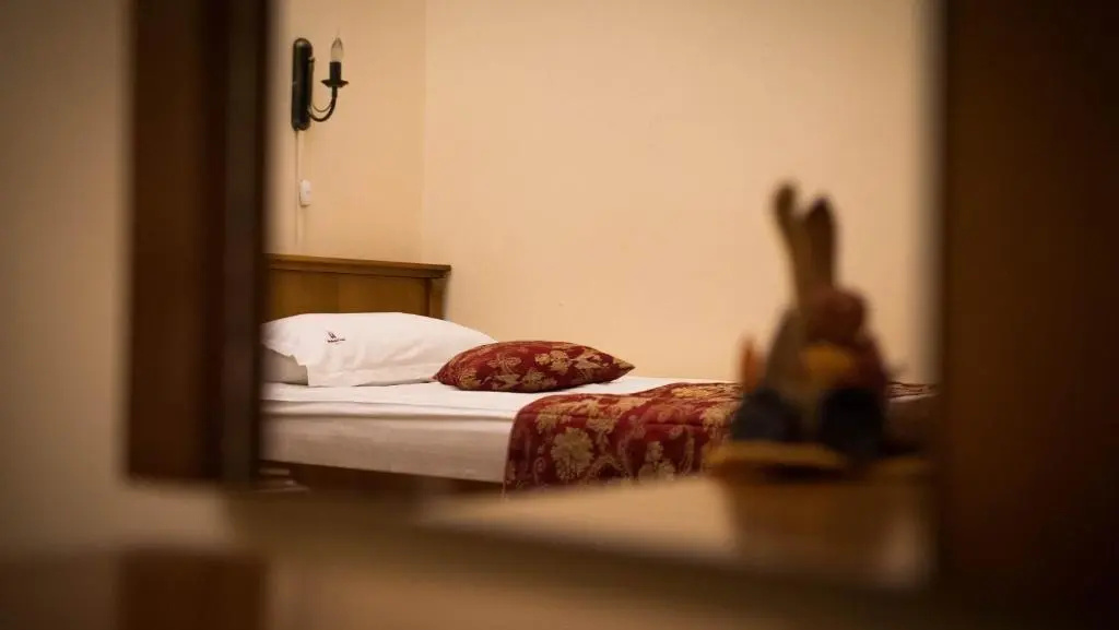 Hotel Transilvania - Chambres