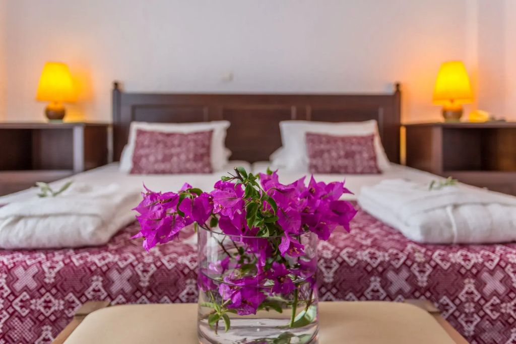 Agionissi Resort Hotel - Chambres