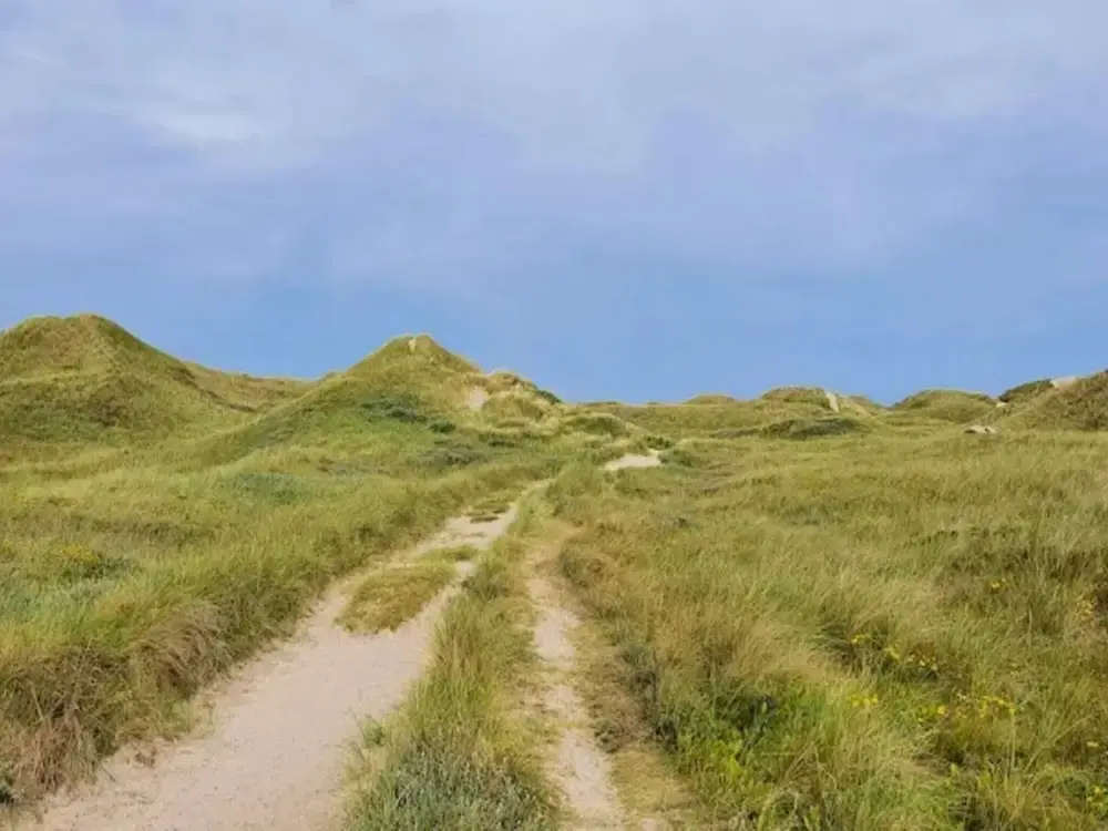 4 Star Holiday Home in Ulfborg