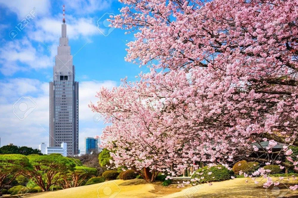 Hotel Blue Empire in Shinjuku 사진 21