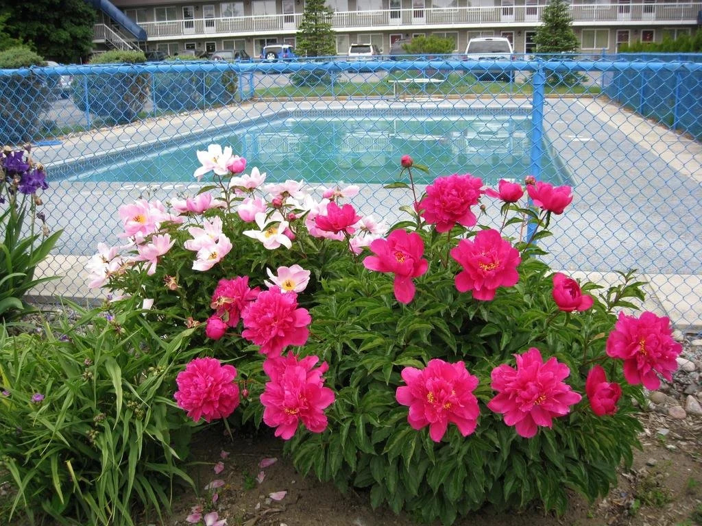 Grand Motel