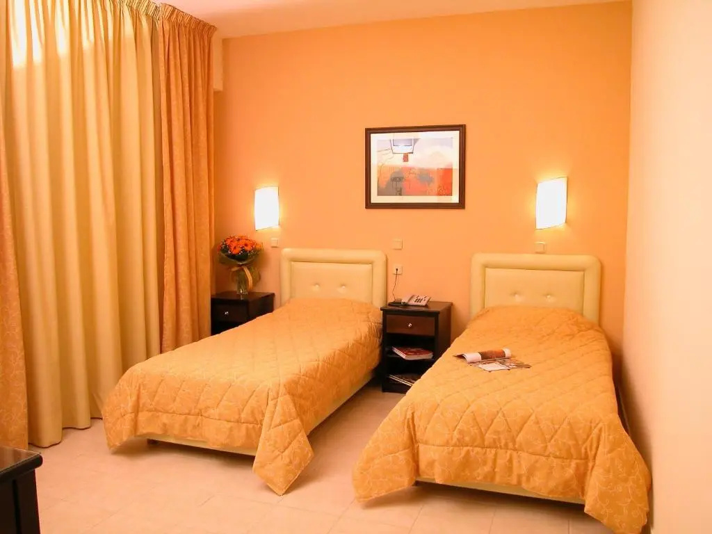 Standard Double room (twin beds)