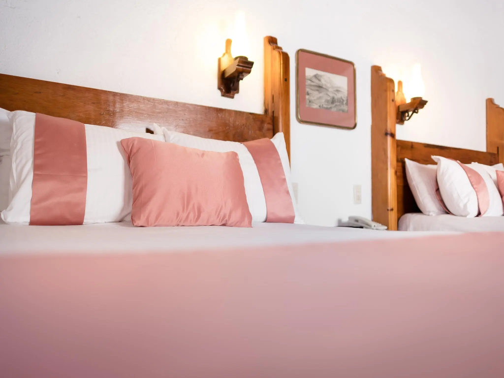 Hotel Misión Guanajuato - Général