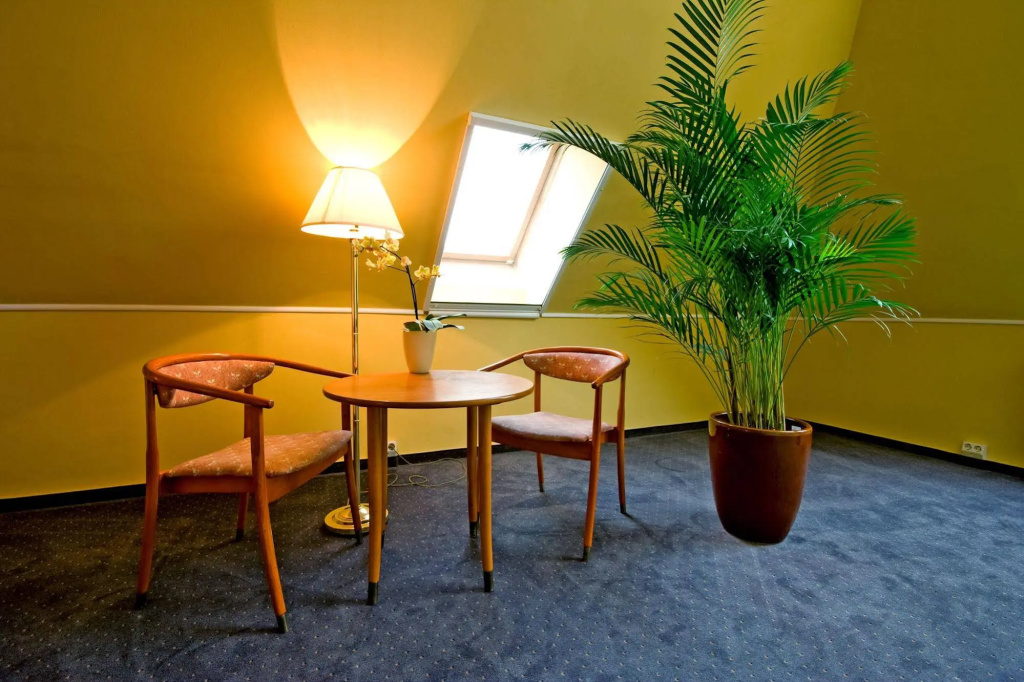 Thermal Hotel Superior - Général