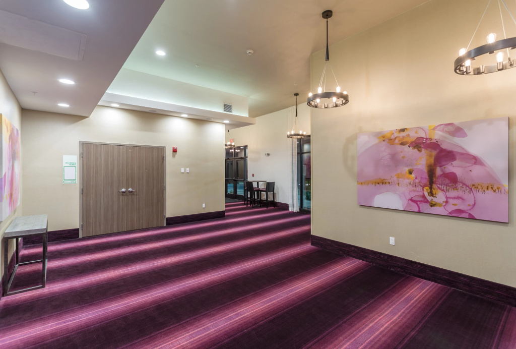 Holiday Inn San Marcos-Convention CTR Area by IHG - Général