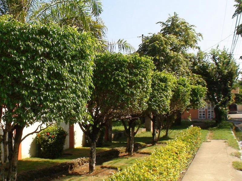 El Colibri Hotel