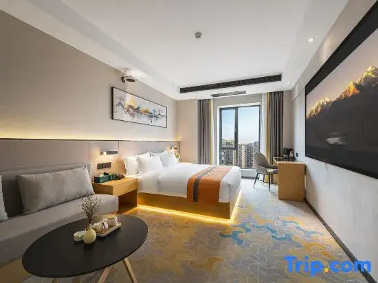 Standard Double room with city view (full double bed)