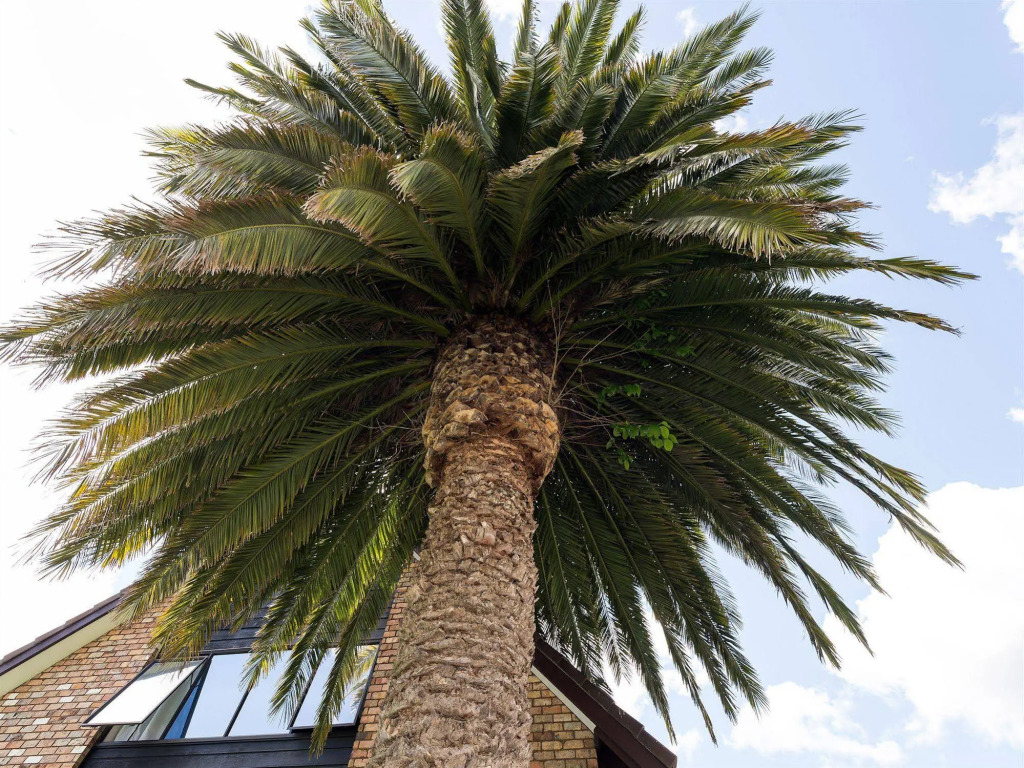 Arista of Rotorua Motel by null