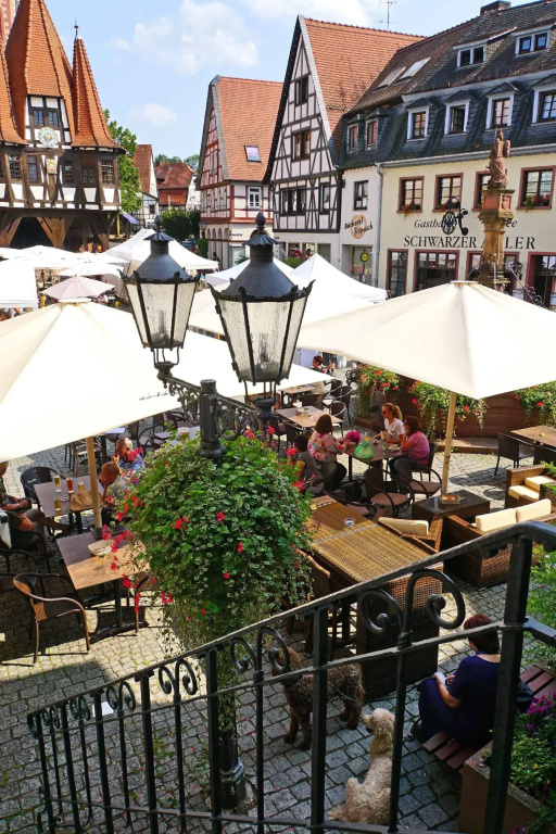 City Hotel Mark Michelstadt - Général