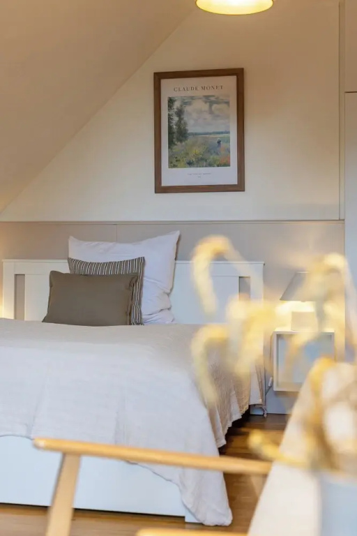 Comfort Double room (full double bed)