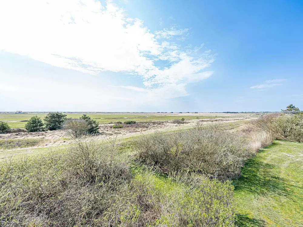 4 Star Holiday Home in Blavand