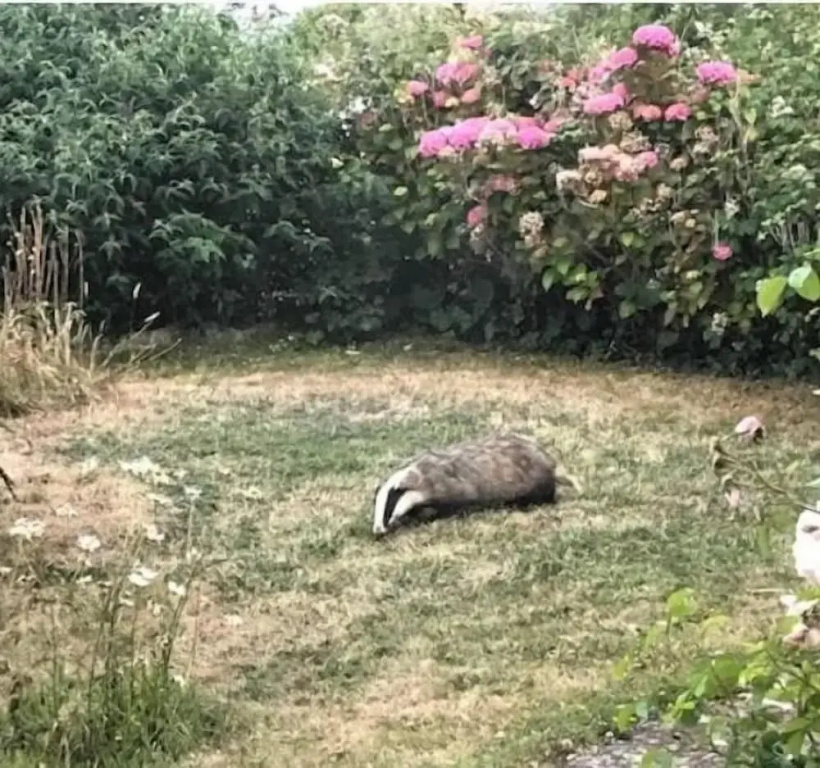 小屋